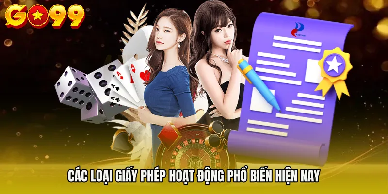 Các loại giấy phép hoạt động phổ biến hiện nay