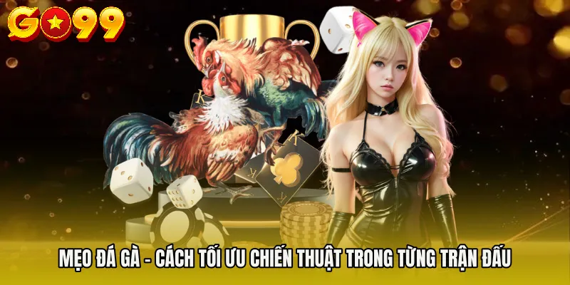 Mẹo Đá Gà - Cách Tối Ưu Chiến Thuật Trong Từng Trận Đấu 6 Mẹo Đá Gà - Cách Tối Ưu Chiến Thuật Trong Từng Trận Đấu