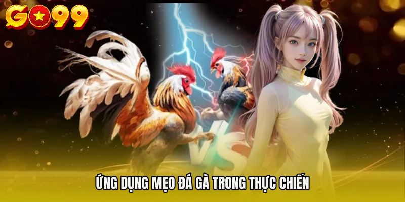 Mẹo Đá Gà - Cách Tối Ưu Chiến Thuật Trong Từng Trận Đấu 4 Ứng dụng Mẹo đá gà trong thực chiến